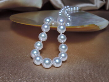 Perlový náhrdelník akoya perly 7 mm APN7075C Perlový náhrdelník akoya perly 7 mm APN7075C