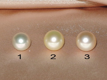 perly SSG300BAA+ perly SSG300BAA+