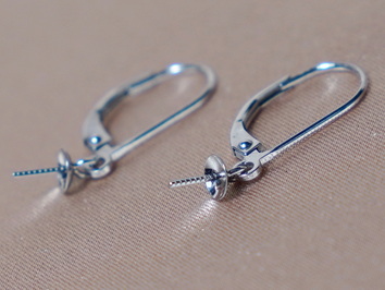 Zlaté náušnicové patenty NP01GA Zlaté náušnicové patenty NP01GA