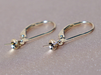 Zlaté náušnicové patenty NP02GA Zlaté náušnicové patenty NP02GA