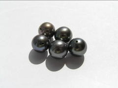 perly RL08AAbM RL08AAbM RL08AAbM