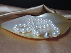 Perlový náhrdelník japonské akoya perly 8,5mm APN8590C DSCN0190.jpg APN8590C