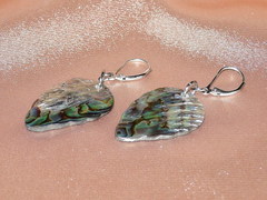 Set z lastury Abalone ALS012G DSCN2252.jpg ALS012G