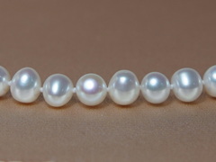 Náhrdelník z pravých bílých sladkovodních perel ORSN6575AA+wA Náhrdelník z pravých bielych sladkovodných perál ORSN6575AA+wA.1.JPG ORSN6575AA+wA