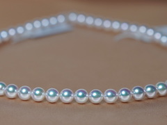 Náhrdelník akoya perly TENNYO 6,5-7mm TENNYO 6570 Perlový náhrdelník TENNYO 6,5-7 mm.1.JPG TENNYO 6570