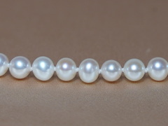 Perlový náhrdelník z bílých sladkovodních perel ORSN6070AA+wW Perlový náhrdelník z bielych sladkovodných perál ORSN6070AA+wW.1.JPG ORSN6070AA+wW