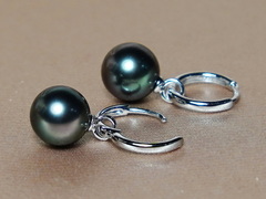 Zlaté náušnice 14K z pravých tahitských perel WW017WE-T Zlaté náušnice s tahitskými perlami WW017WE-T.2.JPG WW017WE-T